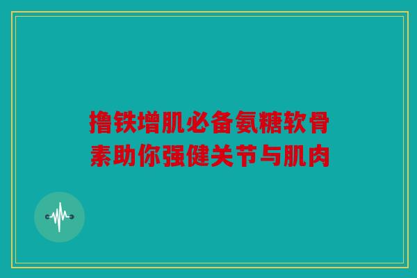 撸铁增肌必备氨糖软骨素助你强健关节与肌肉