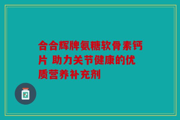 合合辉牌氨糖软骨素钙片 助力关节健康的优质营养补充剂