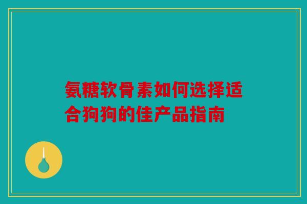 氨糖软骨素如何选择适合狗狗的佳产品指南