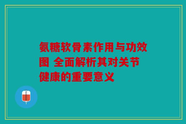 氨糖软骨素作用与功效图 全面解析其对关节健康的重要意义