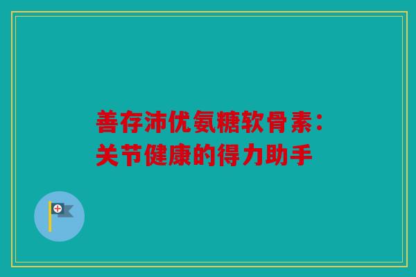 善存沛优氨糖软骨素：关节健康的得力助手