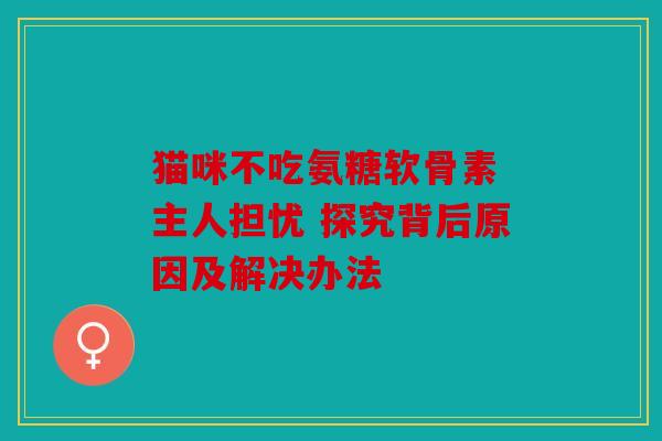 猫咪不吃氨糖软骨素 主人担忧 探究背后原因及解决办法