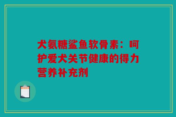 犬氨糖鲨鱼软骨素：呵护爱犬关节健康的得力营养补充剂