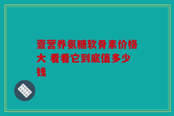 壹营养氨糖软骨素价格大 看看它到底值多少钱