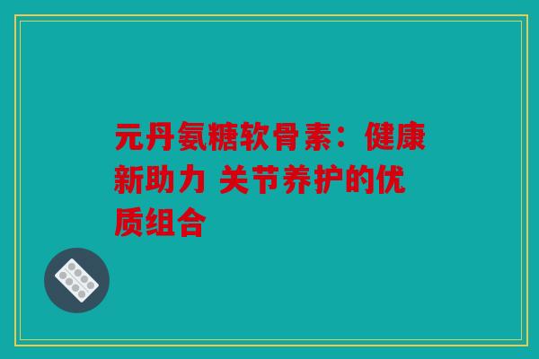 元丹氨糖软骨素：健康新助力 关节养护的优质组合-第1张图片-关节骑士
