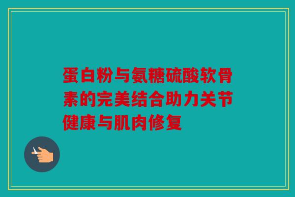 蛋白粉与氨糖硫酸软骨素的完美结合助力关节健康与肌肉修复-第1张图片-关节骑士