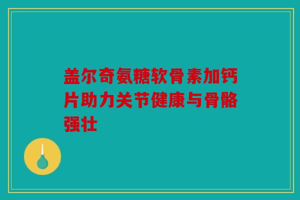 盖尔奇氨糖软骨素加钙片助力关节健康与骨骼强壮