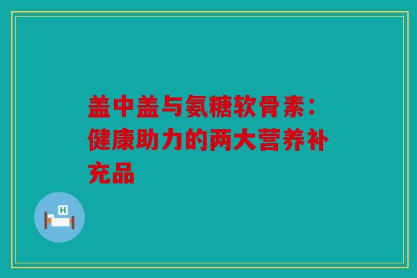 盖中盖与氨糖软骨素：健康助力的两大营养补充品