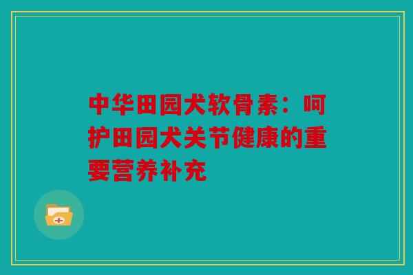 中华田园犬软骨素：呵护田园犬关节健康的重要营养补充