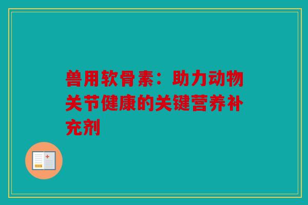 兽用软骨素：助力动物关节健康的关键营养补充剂
