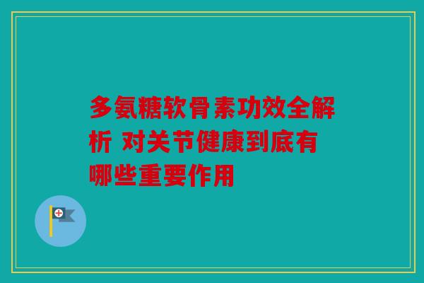 多氨糖软骨素功效全解析 对关节健康到底有哪些重要作用