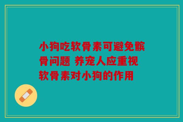 小狗吃软骨素可避免髌骨问题 养宠人应重视软骨素对小狗的作用