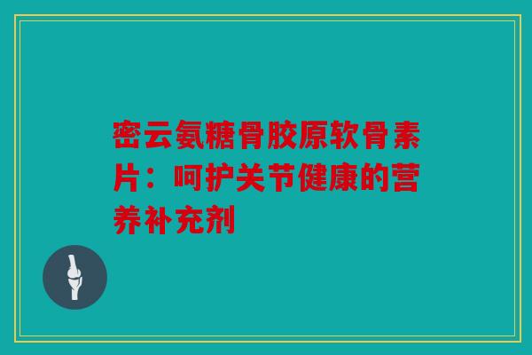 密云氨糖骨胶原软骨素片：呵护关节健康的营养补充剂