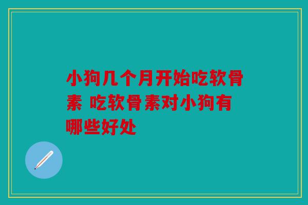 小狗几个月开始吃软骨素 吃软骨素对小狗有哪些好处