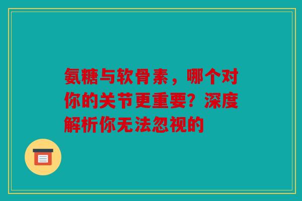 氨糖与软骨素,哪个对你的关节更重要?深度解析你无法忽视的-第1张图片-关节骑士 氨糖与软骨素,哪个对你的关节更重要?深度解析你无法忽视的-第1张图片-关节骑士