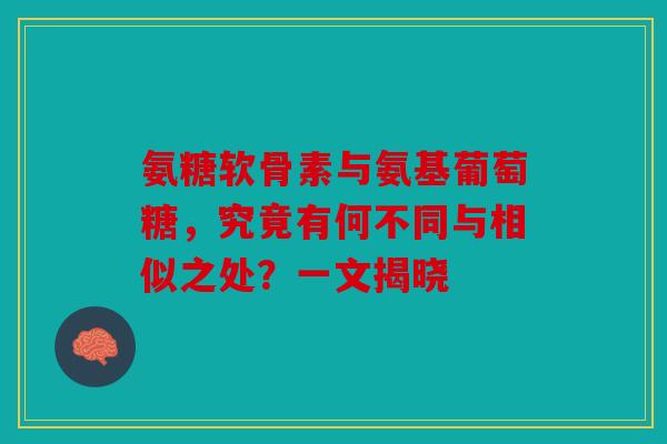 氨糖软骨素与氨基葡萄糖，究竟有何不同与相似之处？一文揭晓-第1张图片-关节骑士
