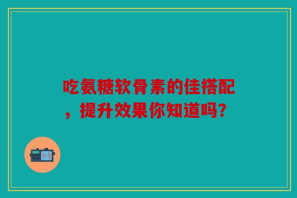 吃氨糖软骨素的佳搭配，提升效果你知道吗？
