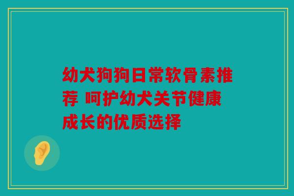 幼犬狗狗日常软骨素推荐 呵护幼犬关节健康成长的优质选择