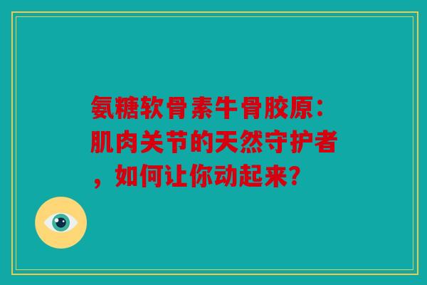 氨糖软骨素牛骨胶原：肌肉关节的天然守护者，如何让你动起来？