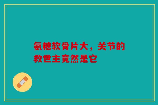 氨糖软骨片大，关节的救世主竟然是它