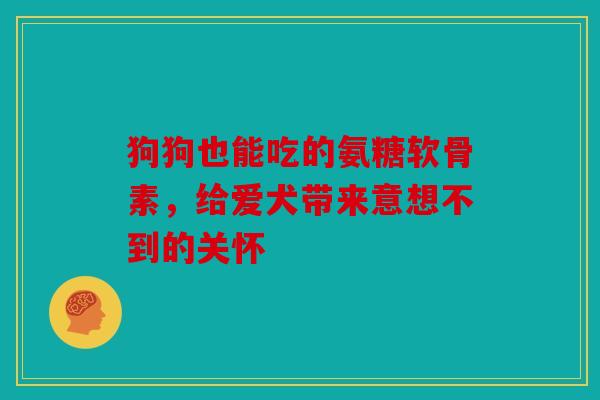 狗狗也能吃的氨糖软骨素，给爱犬带来意想不到的关怀