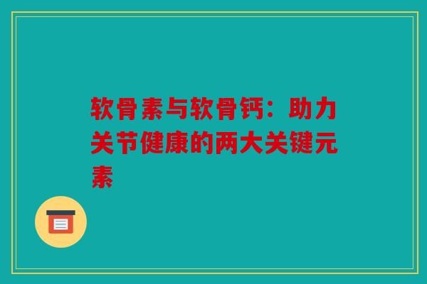 软骨素与软骨钙：助力关节健康的两大关键元素