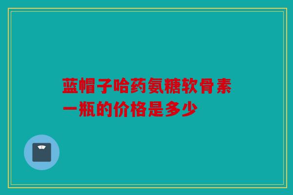 蓝帽子哈药氨糖软骨素一瓶的价格是多少